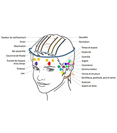 Access Bars